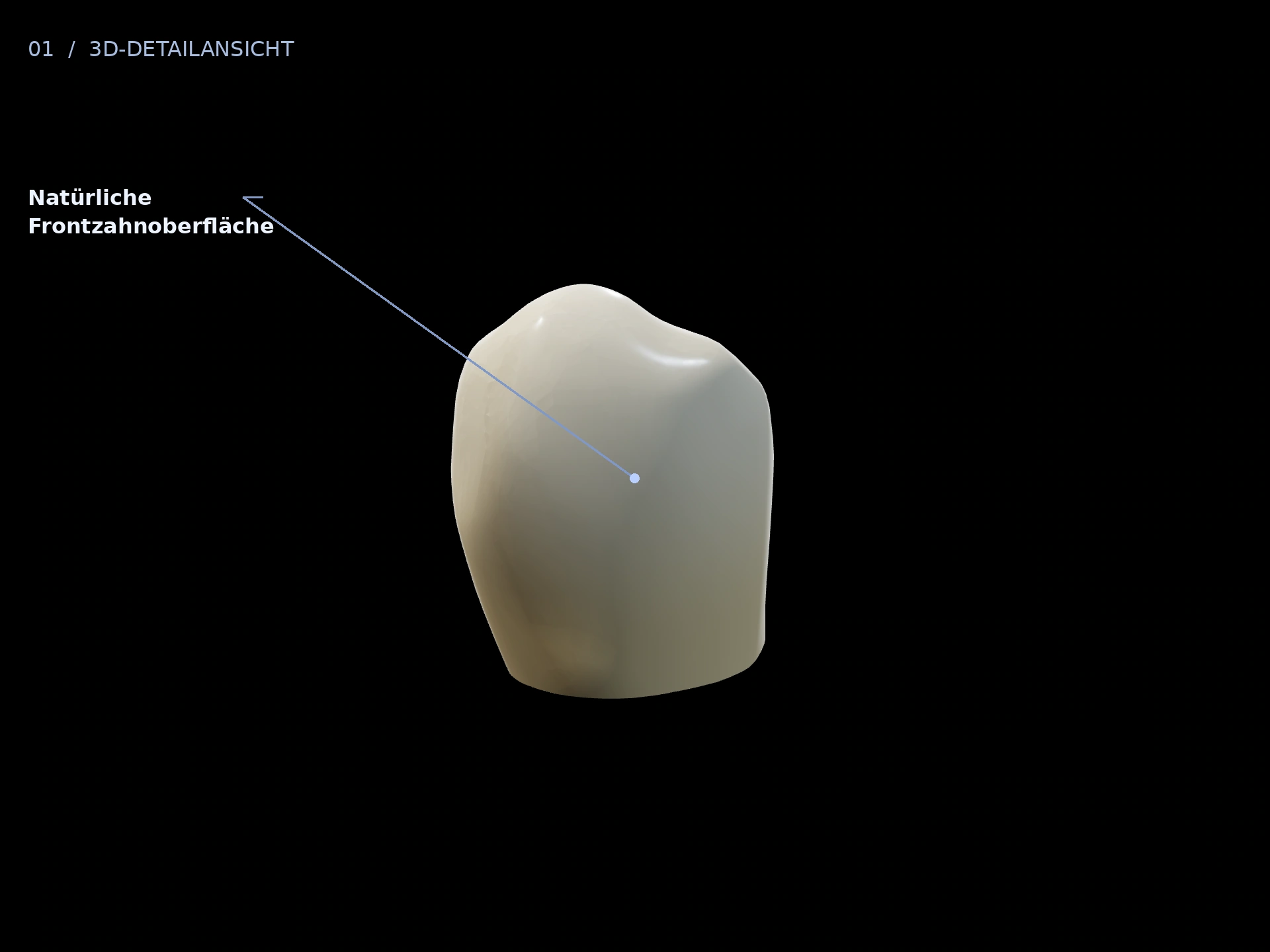 Zahnform: beschriftete 3D-Ansicht mit Natürliche Frontzahnoberfläche