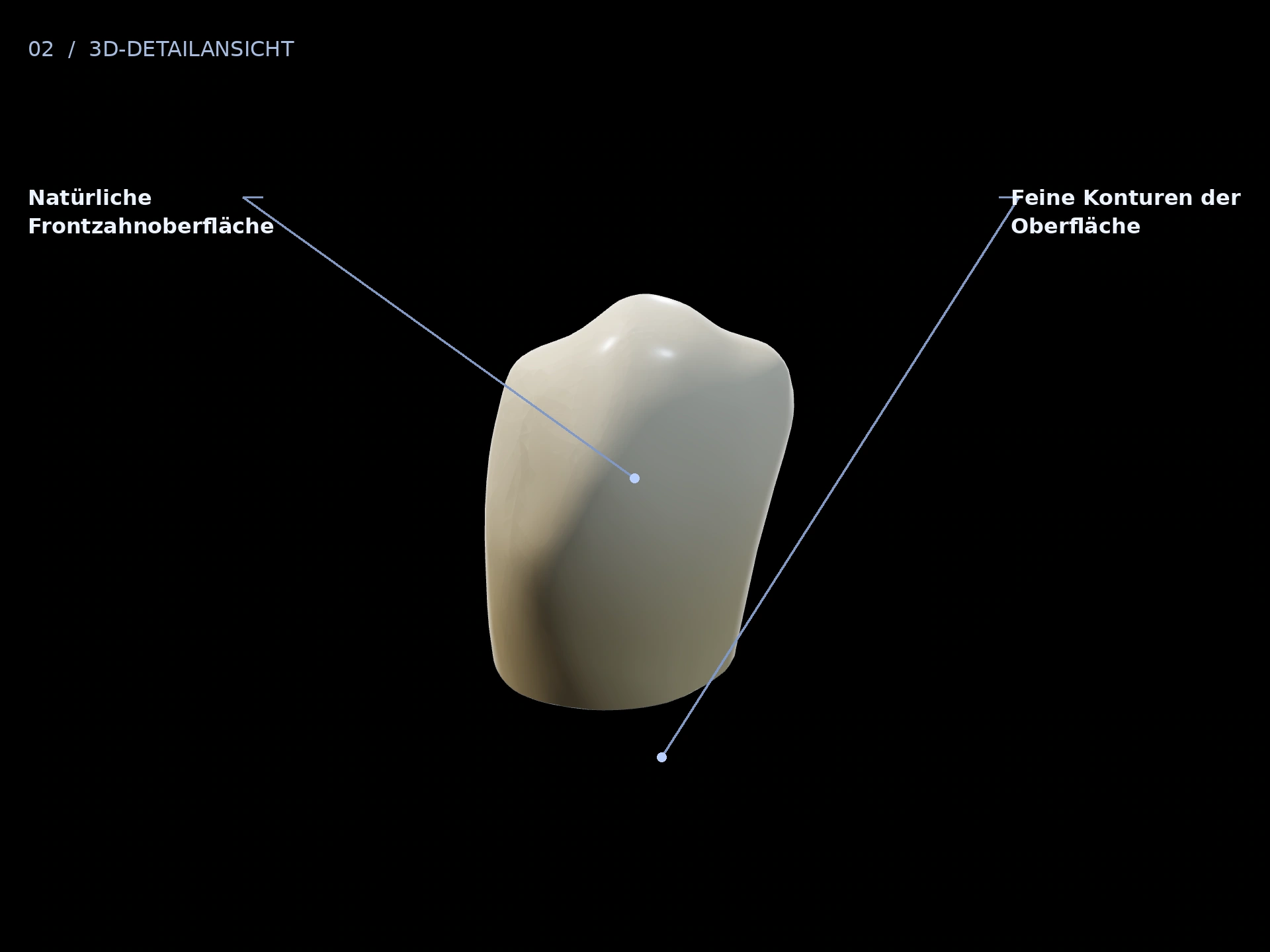 Oberflächenkonturen: beschriftete 3D-Ansicht mit Natürliche Frontzahnoberfläche, Feine Konturen der Oberfläche