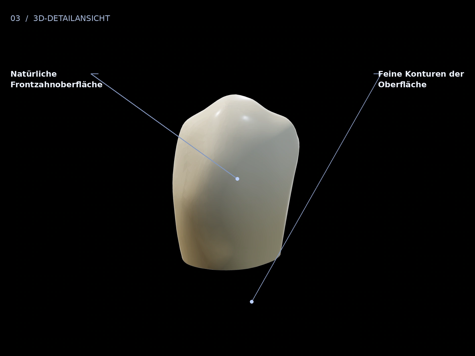 Licht und Form: beschriftete 3D-Ansicht mit Natürliche Frontzahnoberfläche, Feine Konturen der Oberfläche