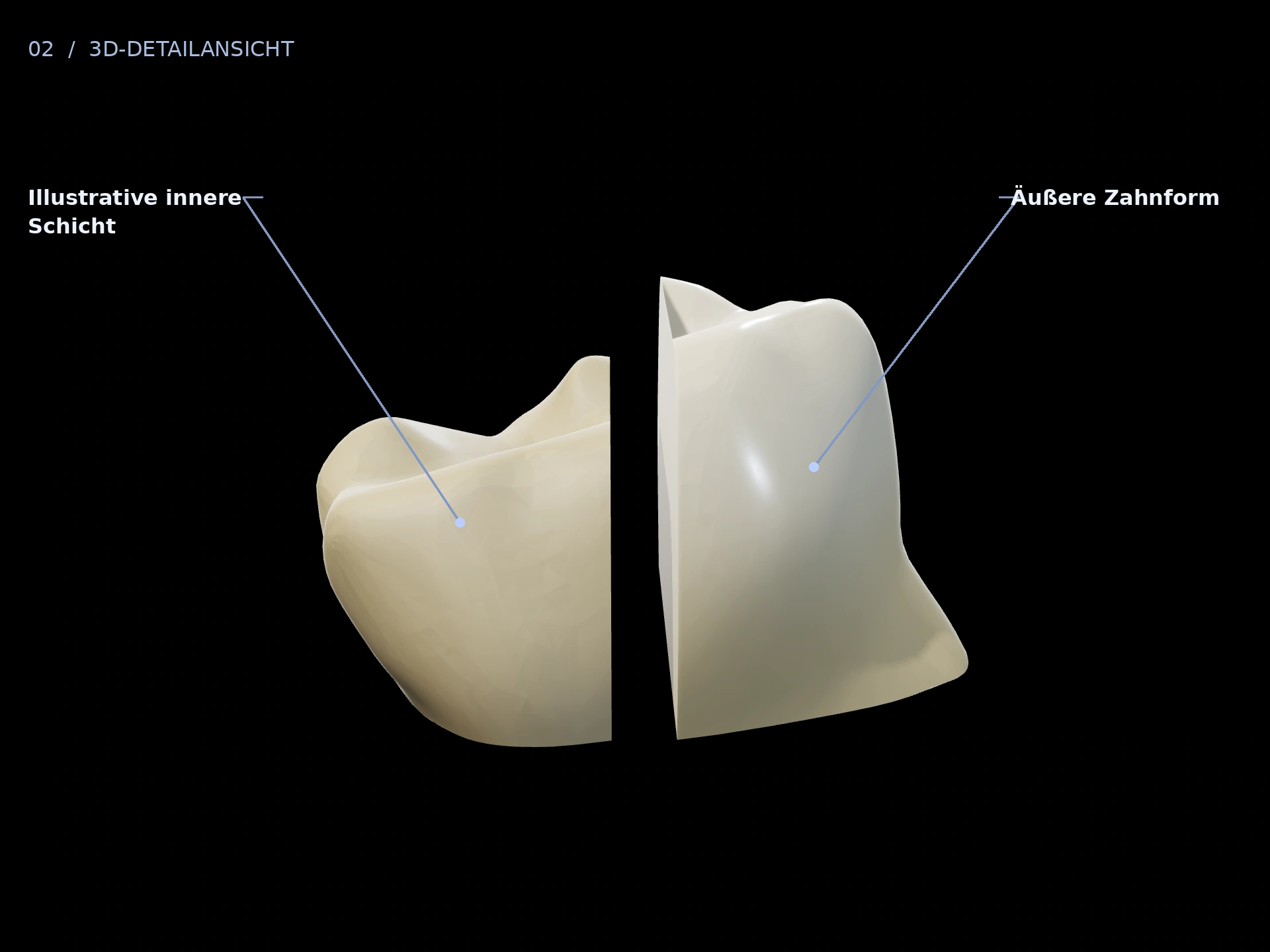 Schichtaufbau: beschriftete 3D-Ansicht mit Äußere Zahnform, Illustrative innere Schicht