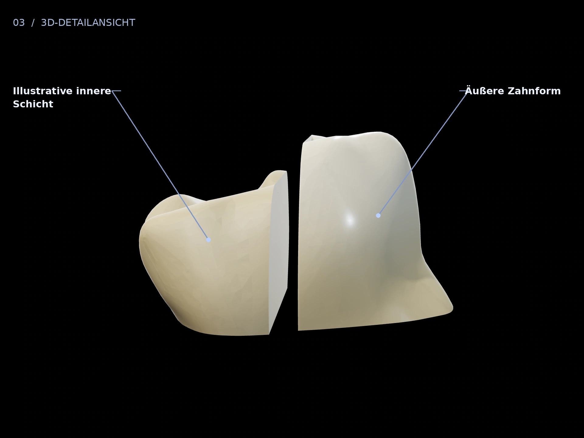 Oberfläche im Detail: beschriftete 3D-Ansicht mit Äußere Zahnform, Illustrative innere Schicht