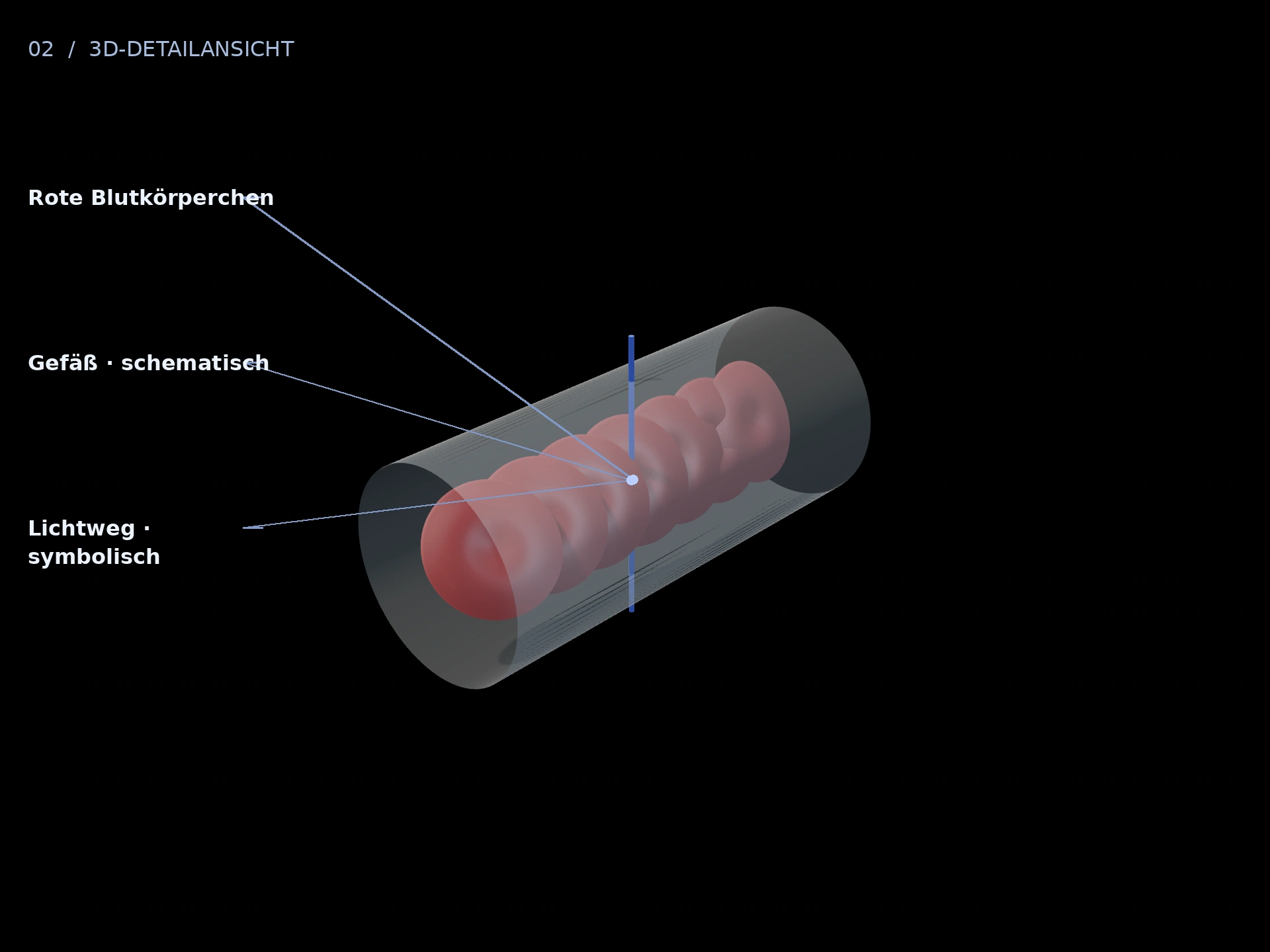 Blutkörperchen: beschriftete 3D-Ansicht mit Gefäß · schematisch, Rote Blutkörperchen, Lichtweg · symbolisch