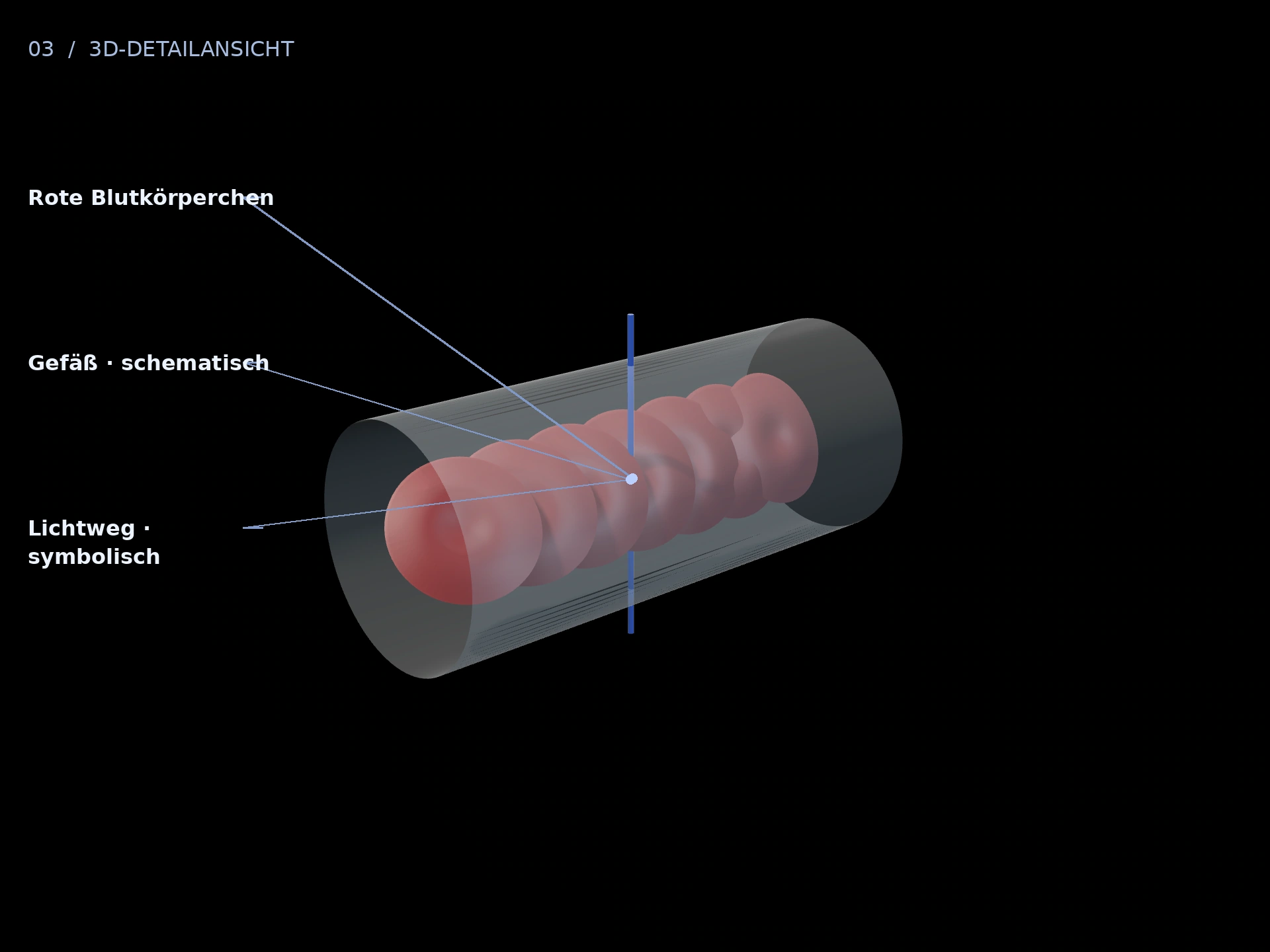 Optisches Messprinzip: beschriftete 3D-Ansicht mit Gefäß · schematisch, Rote Blutkörperchen, Lichtweg · symbolisch